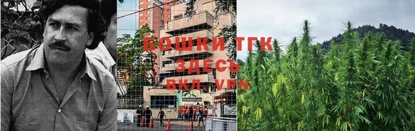 гидропоника Верея