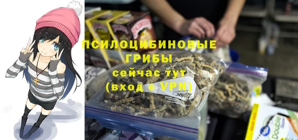 гидропоника Верея