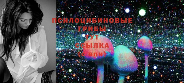 МДПВ Волоколамск