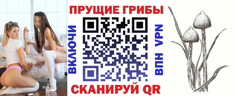 blacksprut как зайти Волоколамск маркетплейс клад Галлюциногенные грибы MAGIC MUSHROOMS